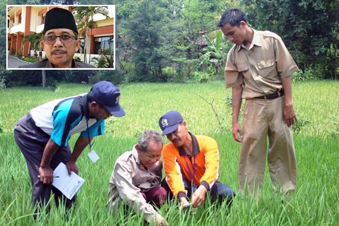 Idealnya 334 Orang, Sumenep Kekurangan 206 Tenaga Penyuluh Pertanian